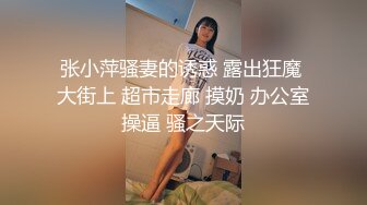 我的丝袜女友