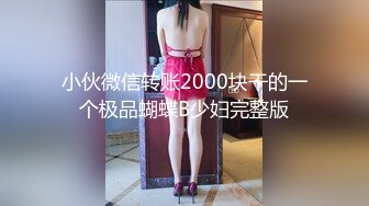 小伙微信转账2000块干的一个极品蝴蝶B少妇完整版