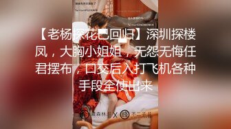 【老杨探花已回归】深圳探楼凤，大胸小姐姐，无怨无悔任君摆布，口交后入打飞机各种手段全使出来