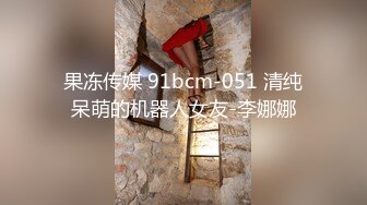 前任恋人偶然再会比以前更加可爱，我激动之下邀请他们一起来度过一个夜晚，没想到竟然被接受，一直到天亮都在连续不断的中出SEX中度过。