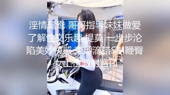 沈先生探花-骚气御姐二回战