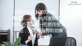 【新片速遞】 2024年，【小葡萄】，唯一大尺度私拍，极品大奶子，被一把抓住张力十足，无毛嫩逼特写劲爆