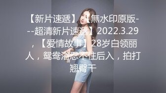 来一波网袜女上