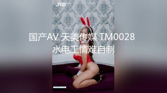 国产AV 天美传媒 TM0028 水电工情难自制