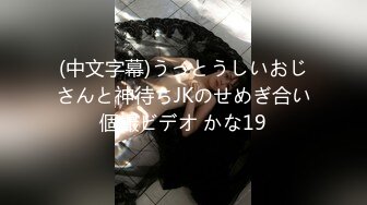 ぽっちゃり美熟女に中出し12人