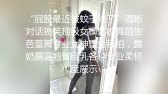 隐形的翅膀