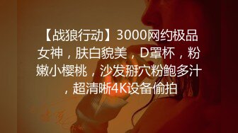 【战狼行动】3000网约极品女神，肤白貌美，D罩杯，粉嫩小樱桃，沙发掰穴粉鲍多汁，超清晰4K设备偷拍