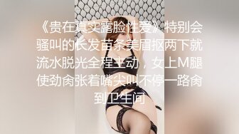 美乳丝袜大屁股少妇