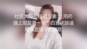 痴女捜査官～射精审问技巧篇 森川安奈