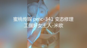 蜜桃传媒 pmc-341 变态修理工强奸女主人-米欧