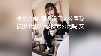 優雅氣質尤物禦姐女神 端莊人妻戴上肛塞酒店偷吃 黑絲網襪美腿肩上扛 粉嫩小穴