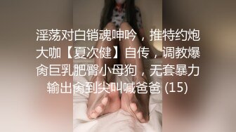 淫荡对白销魂呻吟，推特约炮大咖【夏次健】自传，调教爆肏巨乳肥臀小母狗，无套暴力输出肏到尖叫喊爸爸 (15)