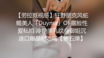 [2DF2] 李寻欢呀探花约了个性感包臀裙大耳环妹子，舔弄摸逼发生争执没干了[BT种子]