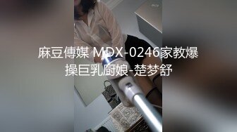 麻豆傳媒 MDX-0246家教爆操巨乳厨娘-楚梦舒