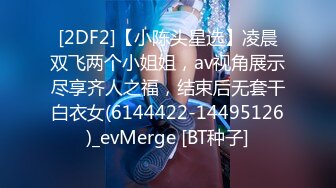 留级之王3新生季BD中英双字