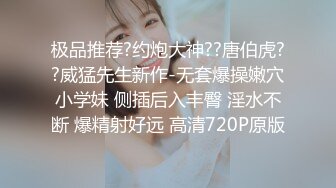 小母狗的发情4