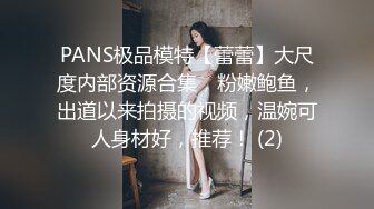 PANS极品模特【蕾蕾】大尺度内部资源合集，粉嫩鲍鱼，出道以来拍摄的视频，温婉可人身材好，推荐！ (2)