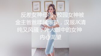   新流出安防酒店偷拍 身材匀称的旗袍温婉少妇和胖哥开房偷情上厕所不拉帘