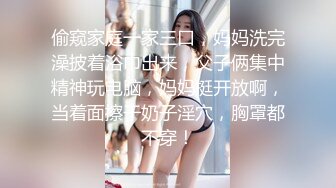 顶级身材一字马骚妻【HN_SIYING】开放式婚姻，公园人前露出，居家丝袜，道具紫薇 (2)