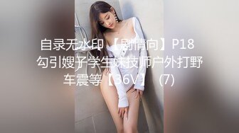 自录无水印 【剧情向】P18 勾引嫂子学生妹技师户外打野车震等【36V】  (7)