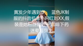 Al&mdash;刘亦菲 连续内射