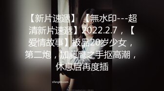 【新速片遞】 ⭐⭐⭐【2023年新模型，4K画质超清版本】2020.4.17，【赵总探花】，极品大胸外围，这奶子超赞，收藏版