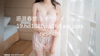 黏黏团子兔 NO.027 樱岛麻衣兔女郎