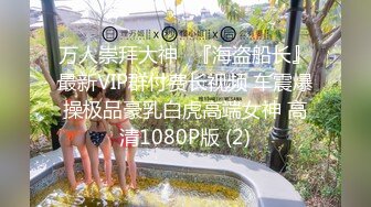 万人崇拜大神✨『海盗船长』最新VIP群付费长视频 车震爆操极品豪乳白虎高端女神 高清1080P版 (2)